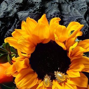 Meet your Posher, Marcia